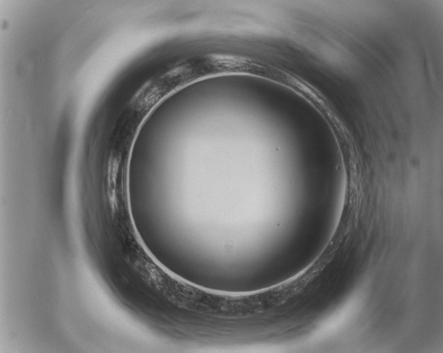 X0000057101199200509161647