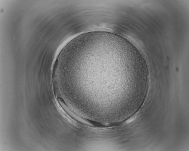 X0000057101200200509161647