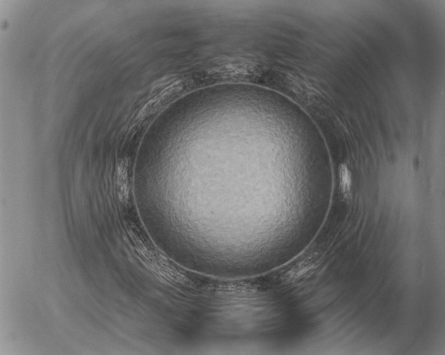 X0000057101203200509161646