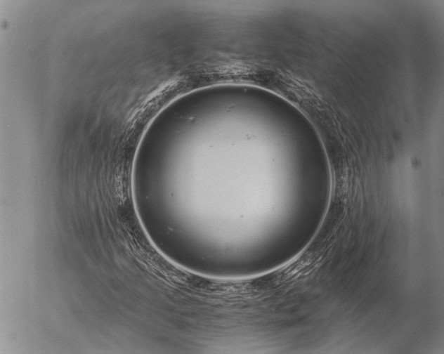 X0000057101205200509161646