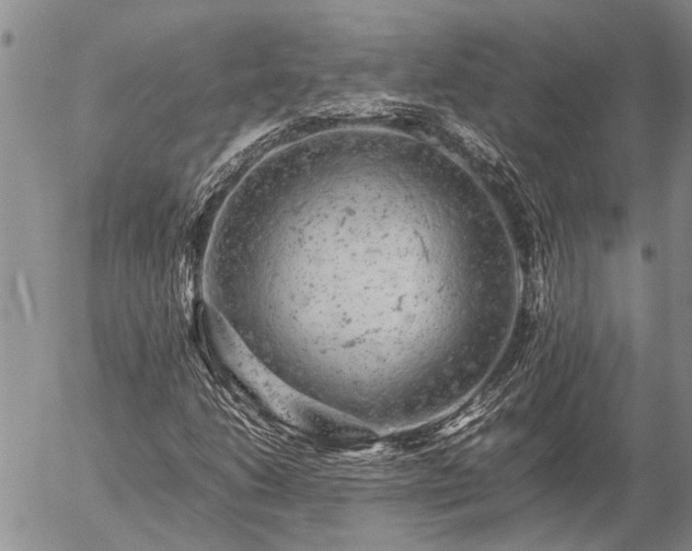 X0000057101206200509161646