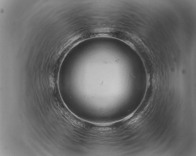 X0000057101209200509161646