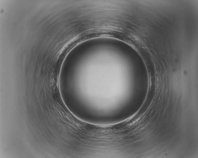 X0000057101210200509161646