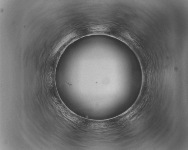 X0000057101211200509161646