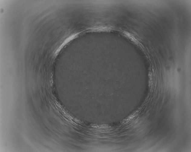 X0000057101213200509161646