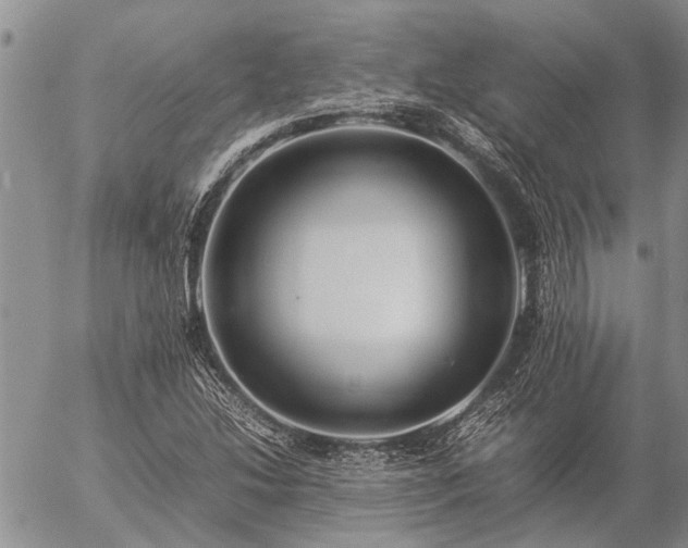 X0000057101214200509161646