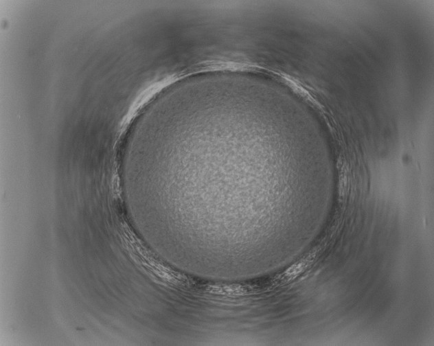 X0000057101215200509161646