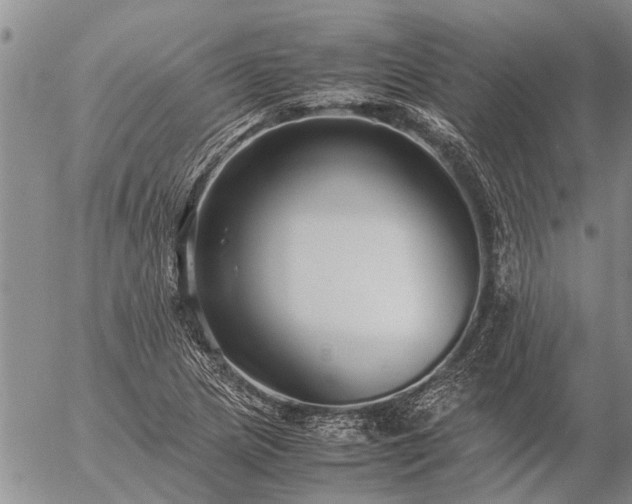 X0000057101217200509161646