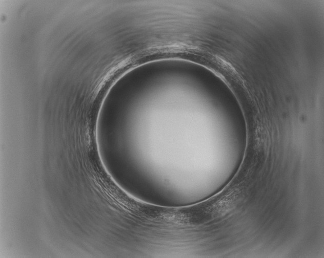 X0000057101218200509161646