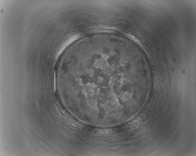 X0000057101219200509161646