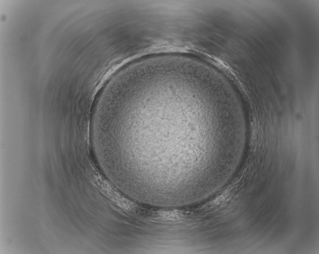 X0000057101220200509161646