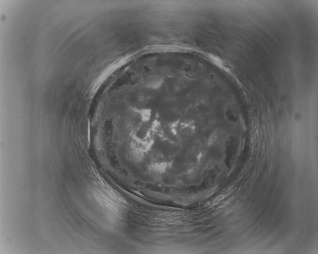 X0000057101221200509161646