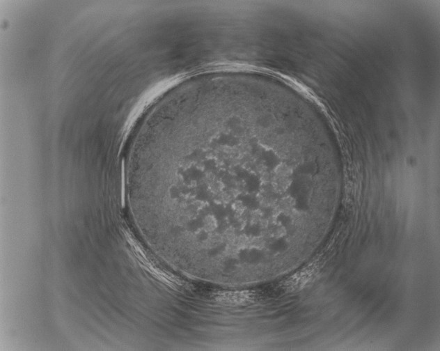 X0000057101223200509161646