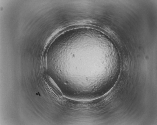 X0000057101224200509161646