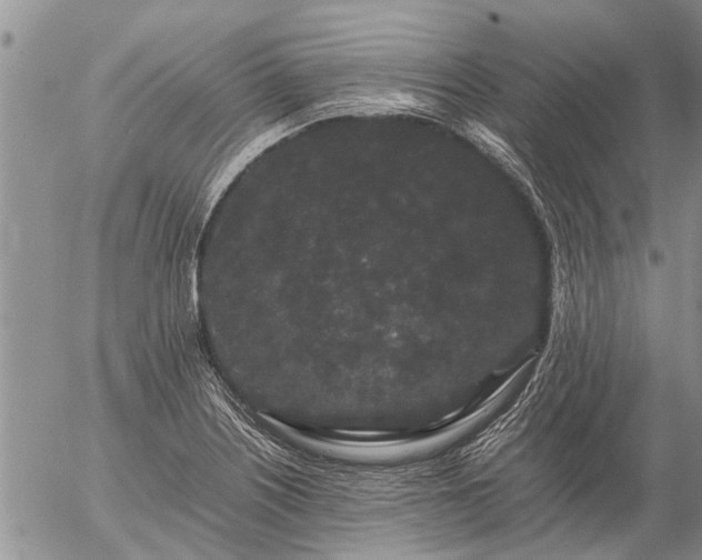 X0000057101226200509161646