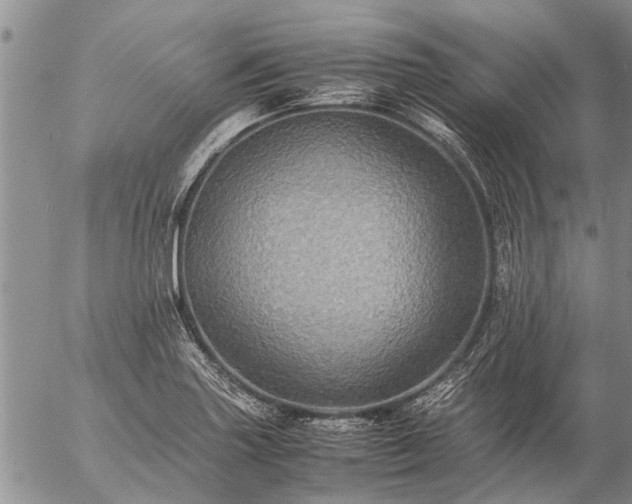 X0000057101227200509161646