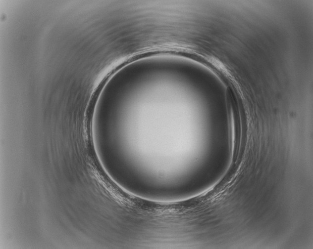 X0000057101230200509161646