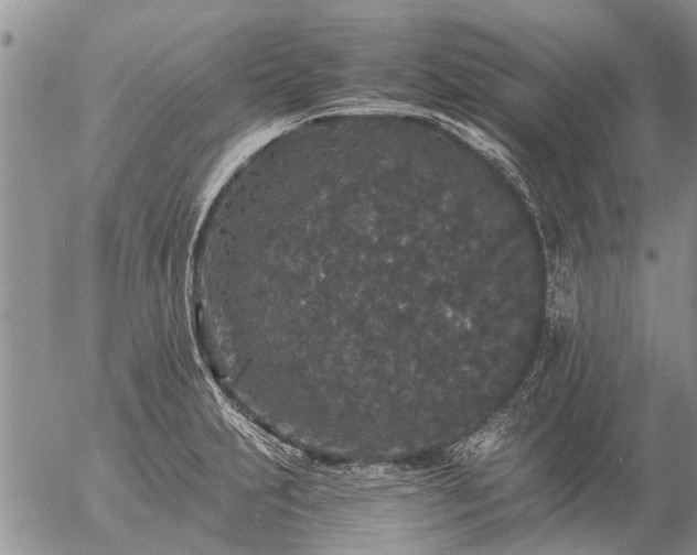 X0000057101231200509161646