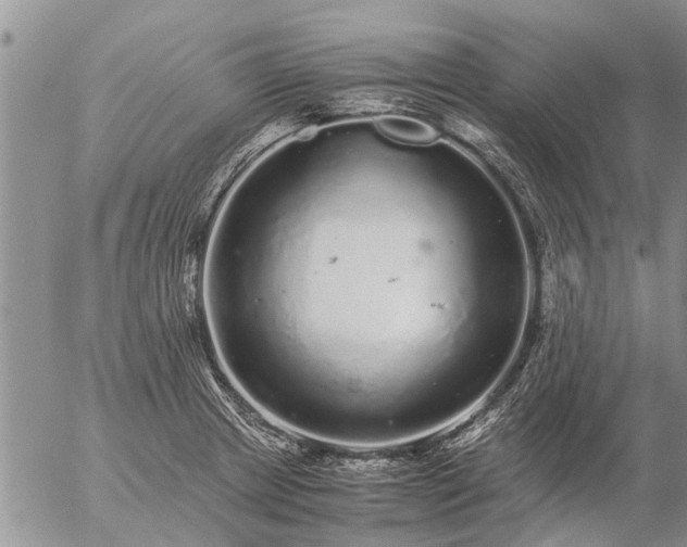 X0000057101233200509161646