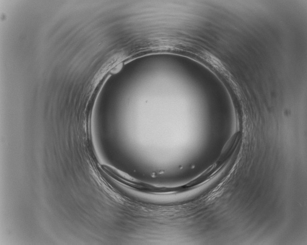 X0000057101234200509161646