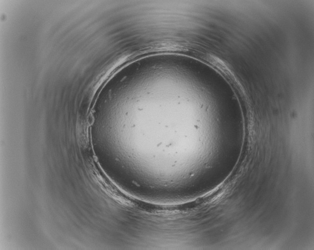 X0000057101236200509161646