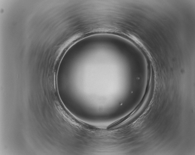 X0000057101238200509161646