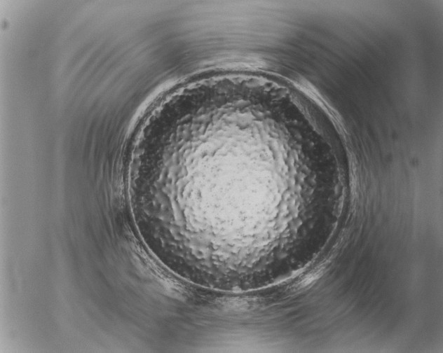 X0000057101240200509161646