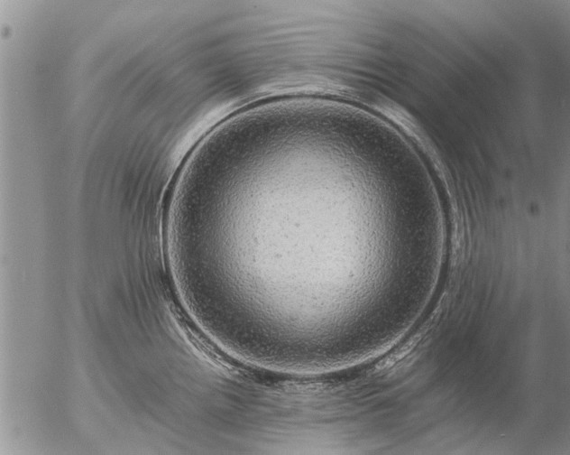 X0000057101242200509161646