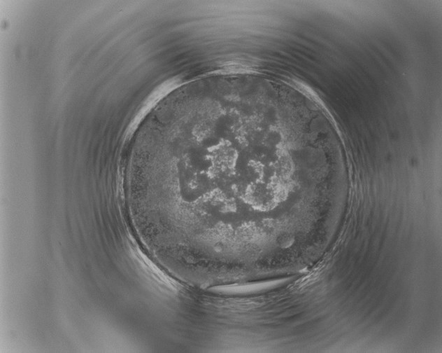 X0000057101243200509161646