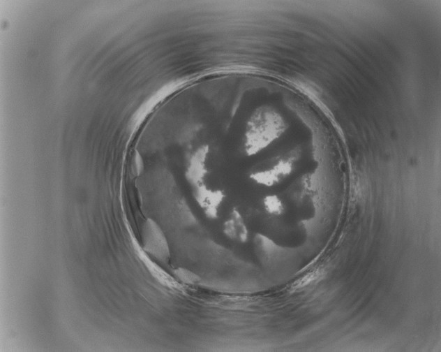 X0000057101245200509161646