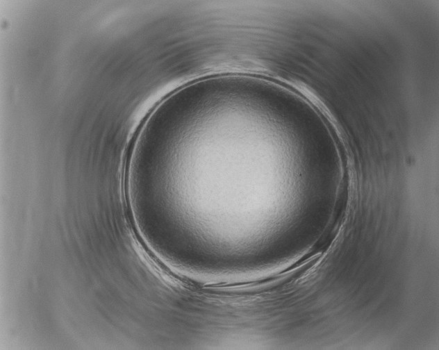 X0000057101246200509161647