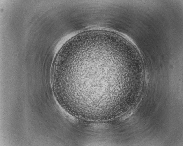 X0000057101247200509161647