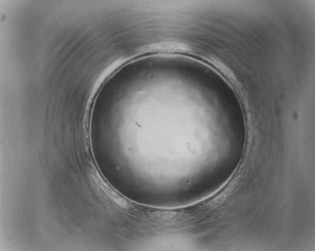 X0000057101248200509161647