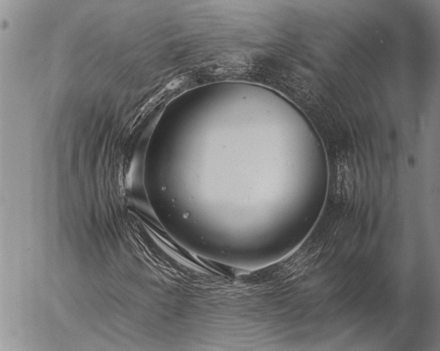 X0000057101250200509161646