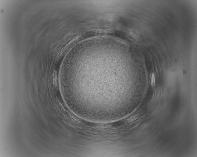 X0000057101251200509161646