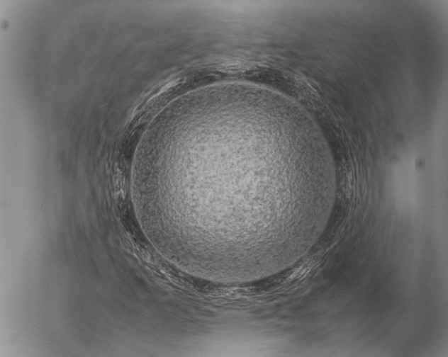 X0000057101253200509161646