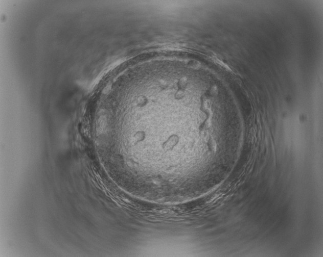 X0000057101255200509161646