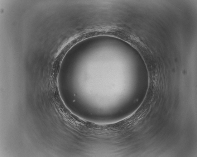 X0000057101256200509161646