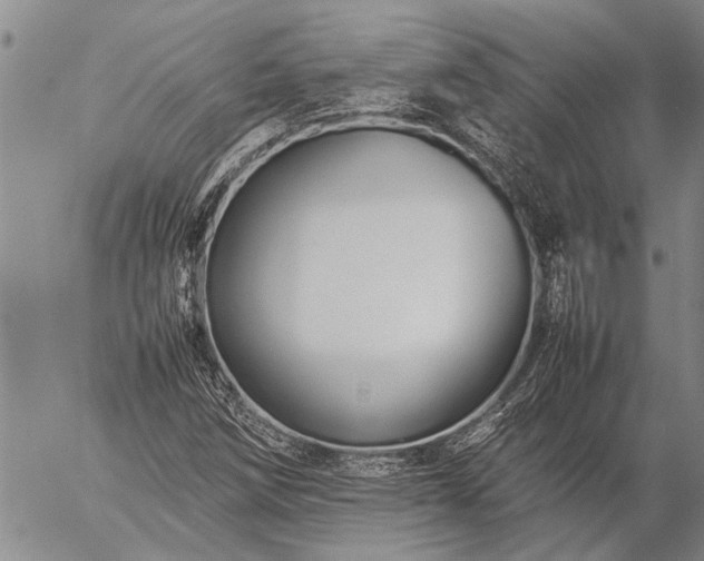 X0000057101258200509161646