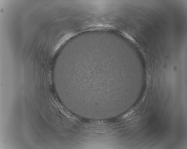 X0000057101259200509161646