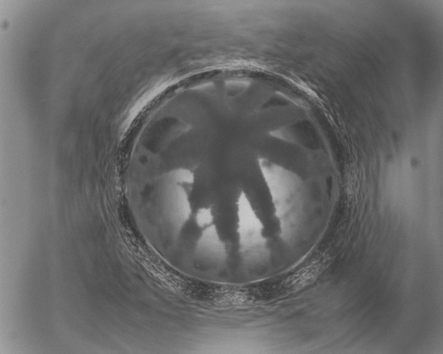 X0000057101263200509161646