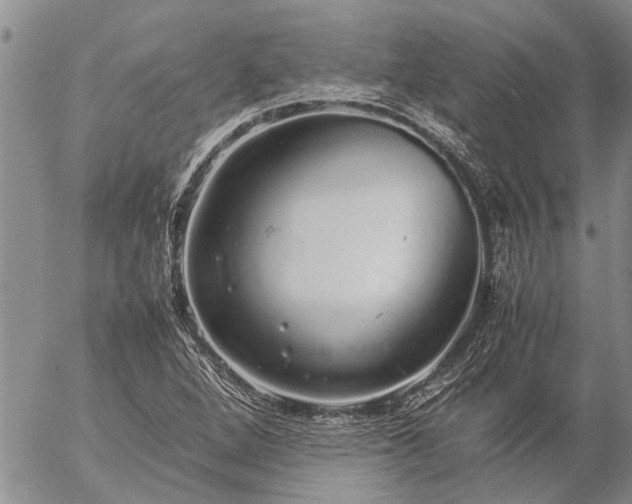 X0000057101264200509161646