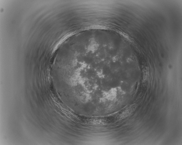 X0000057101266200509161645