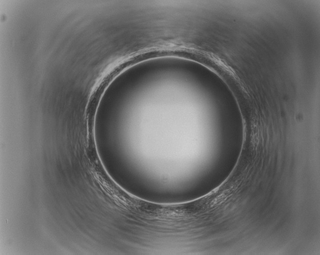 X0000057101270200509161645