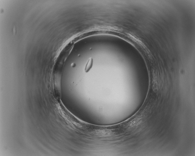 X0000057101272200509161645