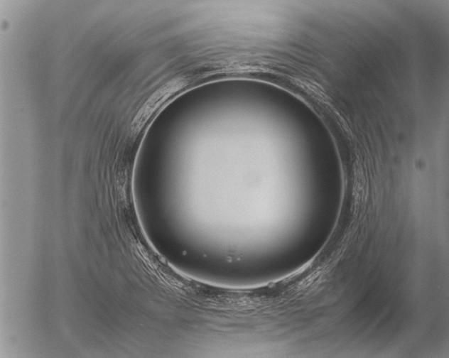 X0000057101273200509161645