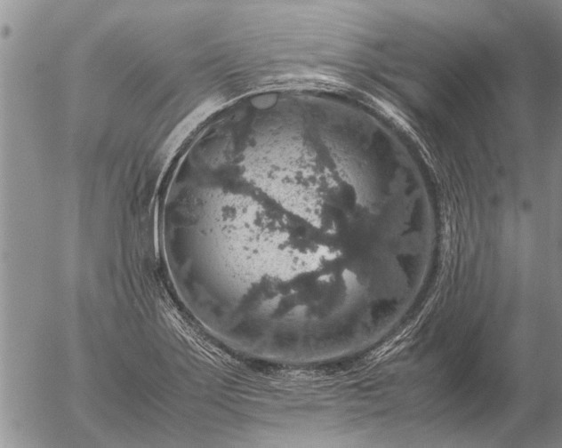 X0000057101275200509161645