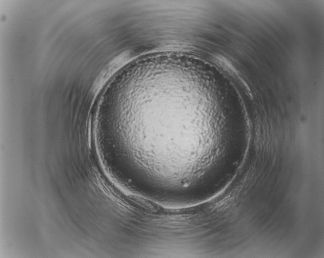 X0000057101276200509161645