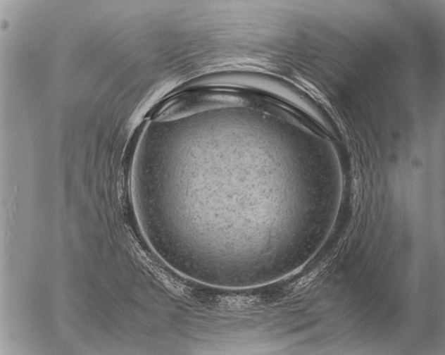 X0000057101277200509161645