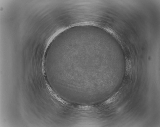 X0000057101278200509161645